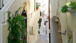 A narrow stone-paved alleyway between buildings with white walls, some greenery, and a metal gate. - Casa Ares Sperlongaresort (Sperlonga)
