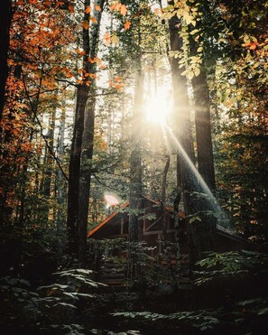 Exterior - Habitat Mesire Evleri (Bolu)