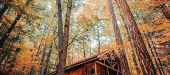 娛樂屋原生態飯店