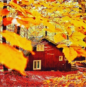 Exterior - Habitat Mesire Evleri (Bolu)