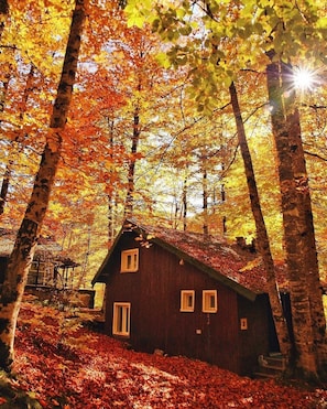 Udendørsområde