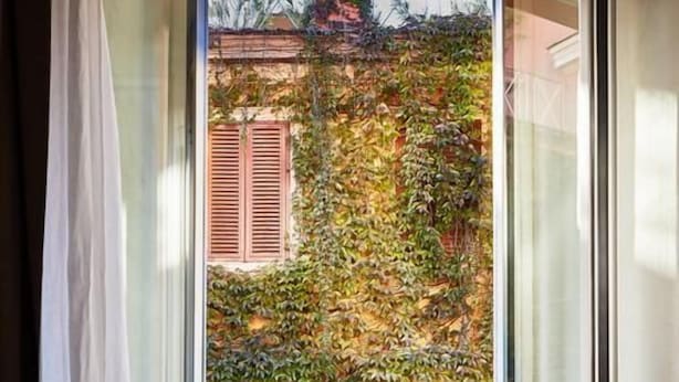 A corner room with a large window overlooking a garden with plants and a wooden fence. - Naman Hotellerie Via Margutta (Rome)