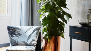 A modern room with a large window, a potted plant, a chair, a desk, and a floor lamp. - Naman Hotellerie Via Margutta (Rome)