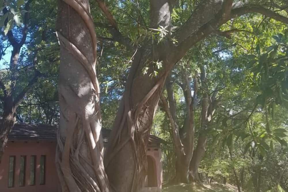 Nyangombe Backpackers — hostel in along Mvuma Road, Kwekwe ZW, 0