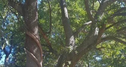 Nyangombe Backpackers