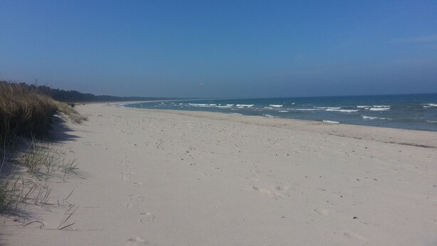 A sandy beach with footprints leading to the water, a clear sky, and a distant tree line. - Haus Alt Glowe (Glowe)