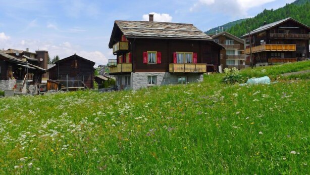 Ein traditionelles Holzchalet mit Balkonen, eingebettet in eine gebirgige Landschaft mit einer grünen Vordergrundwiese.
