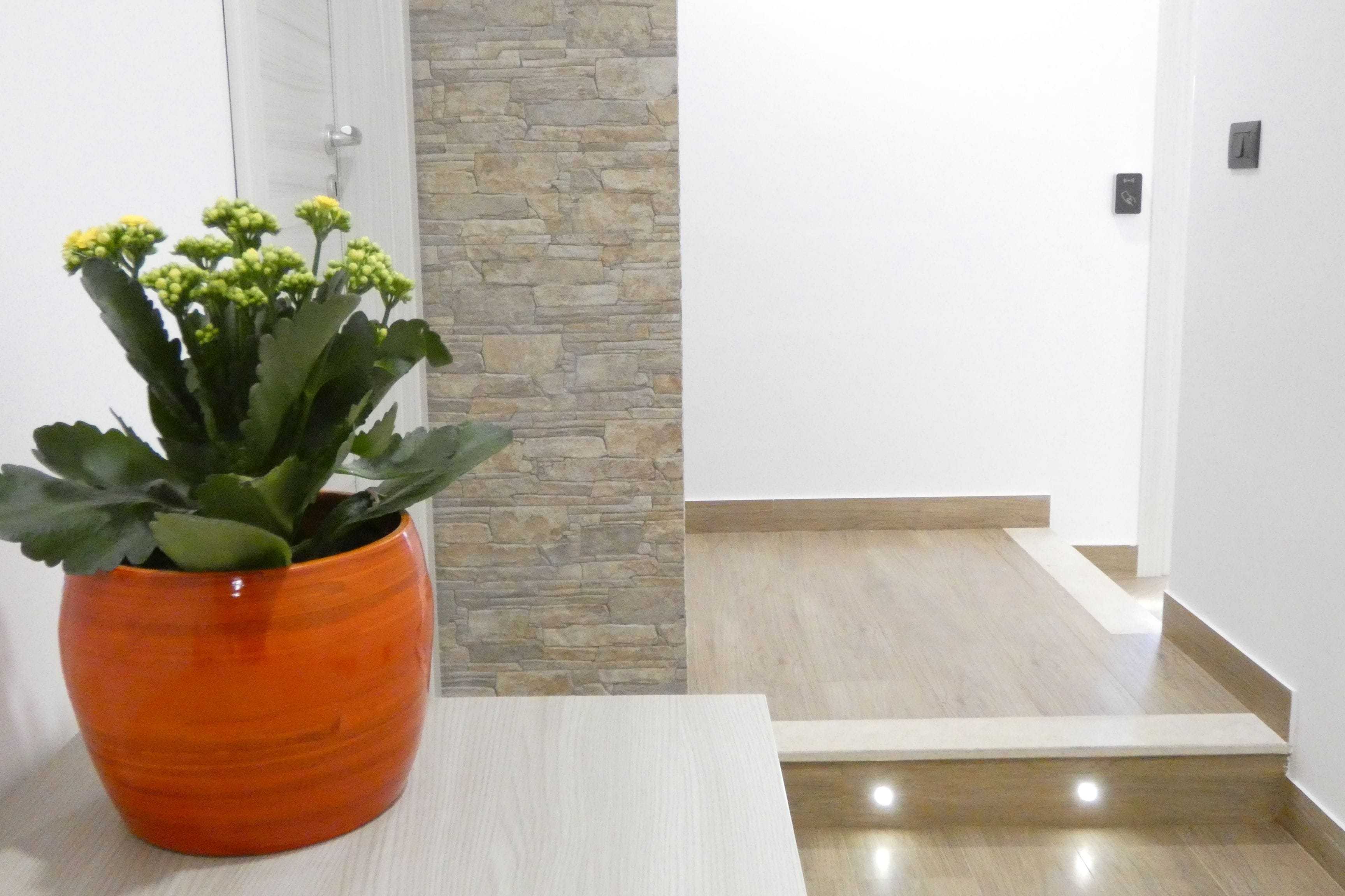 Una planta en test amb una taula en un passadís, amb paret de pedra i terra de fusta.
