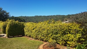 A landscaped garden with neatly trimmed hedges and a clear view of a hilly landscape in the background. - Pachigomo Guest House (Goromonzi)