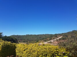Vista despejada de un paisaje montañoso con un camino de tierra que asciende.