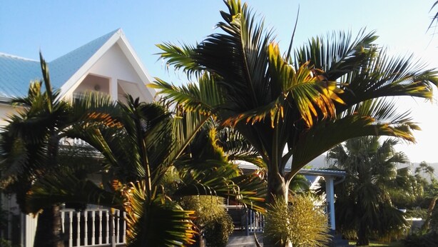 Garden - LE COLONIAL (Sainte Marie)