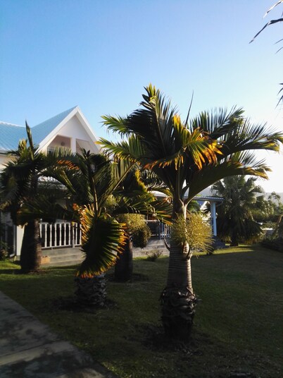 LE COLONIAL