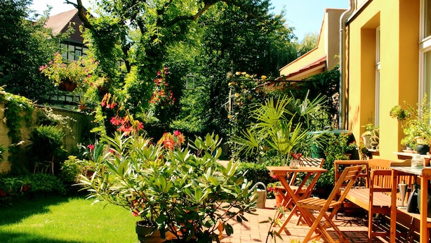 A patio with a wooden table and chairs, surrounded by potted plants and a well-maintained lawn. - Ferienwohnungen Stobenstrasse (Quedlinburg)