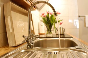 Apartment, 1 Schlafzimmer (Dachterrasse) | Eigene Küche | Großer Kühlschrank, Ofen, Herdplatte