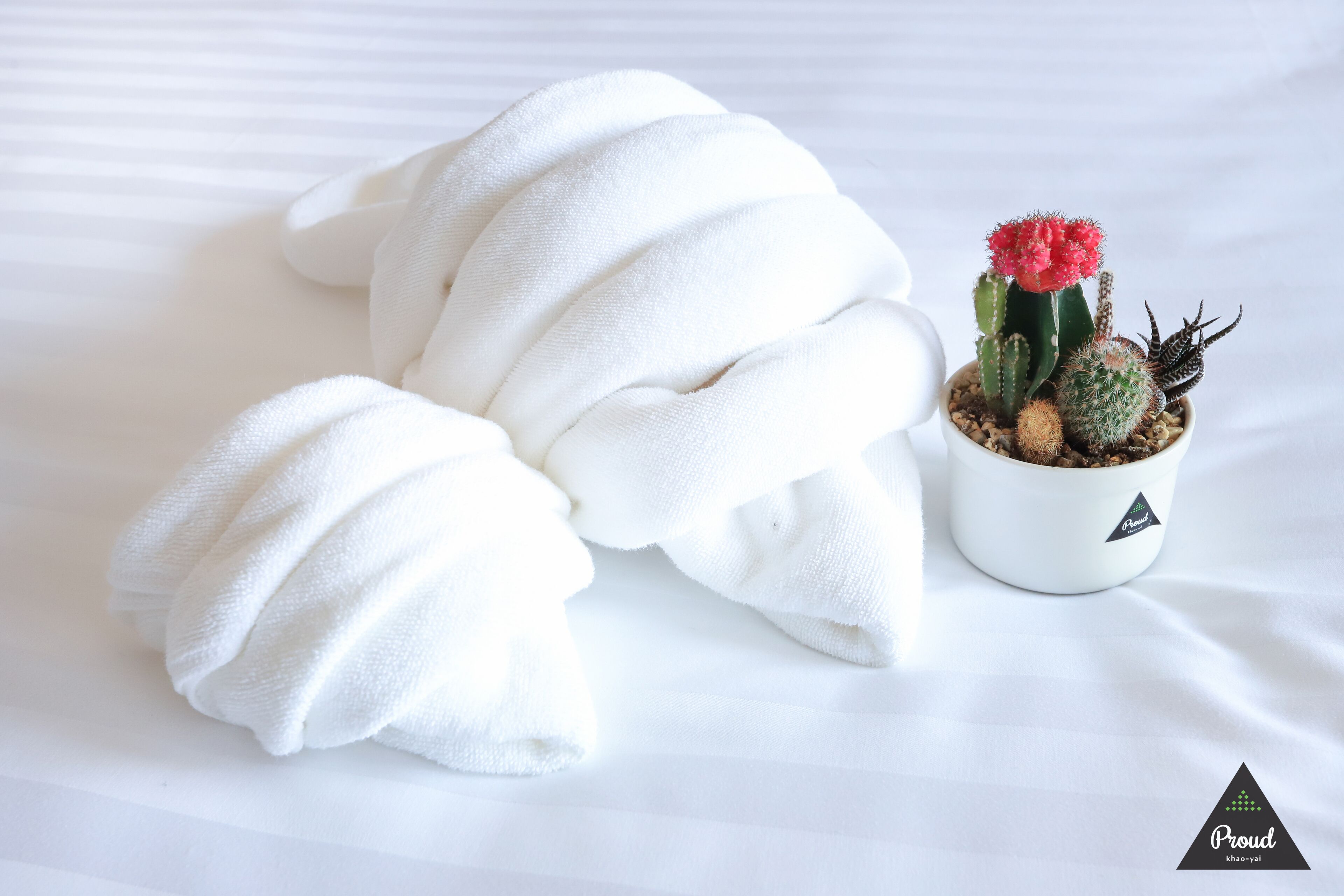 family pool room | room amenity