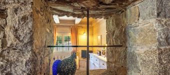 Chalet Anna by Interhome