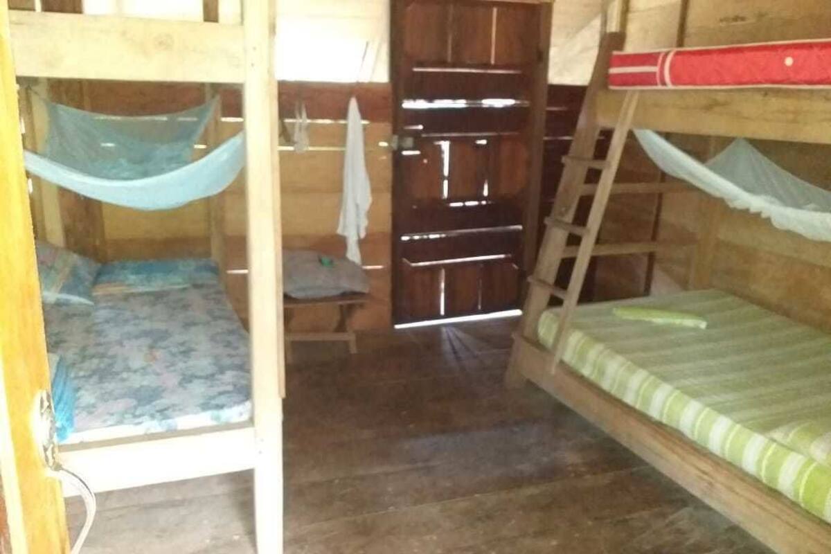 A wooden bunk bed room with a hammock, a wooden door, and a ladder.