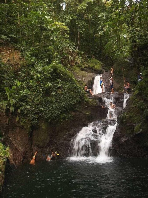 A waterfall in a lush, green forest setting with people enjoying the natural surroundings.