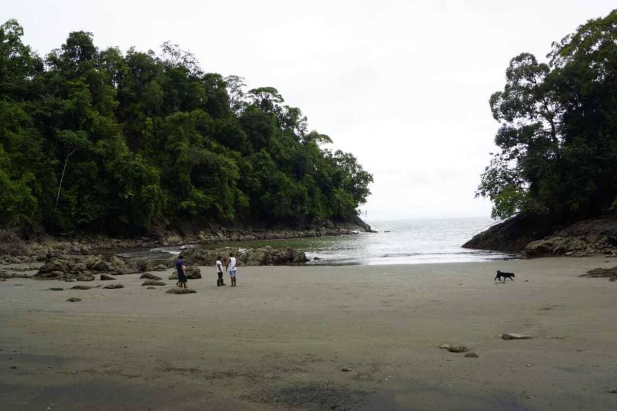 A beach with rocky outcrops, dense greenery, and a calm sea.