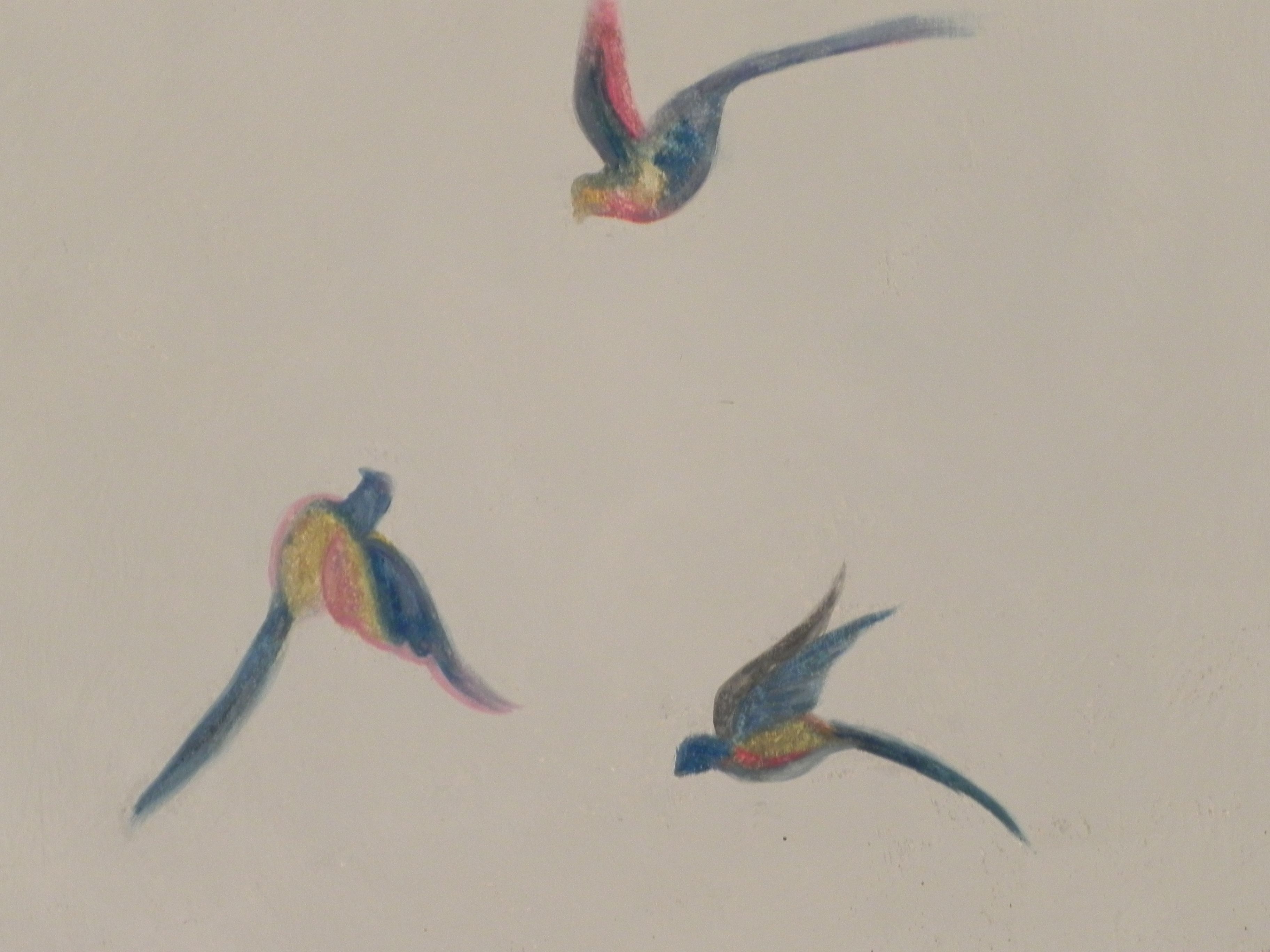 Three birds in flight.