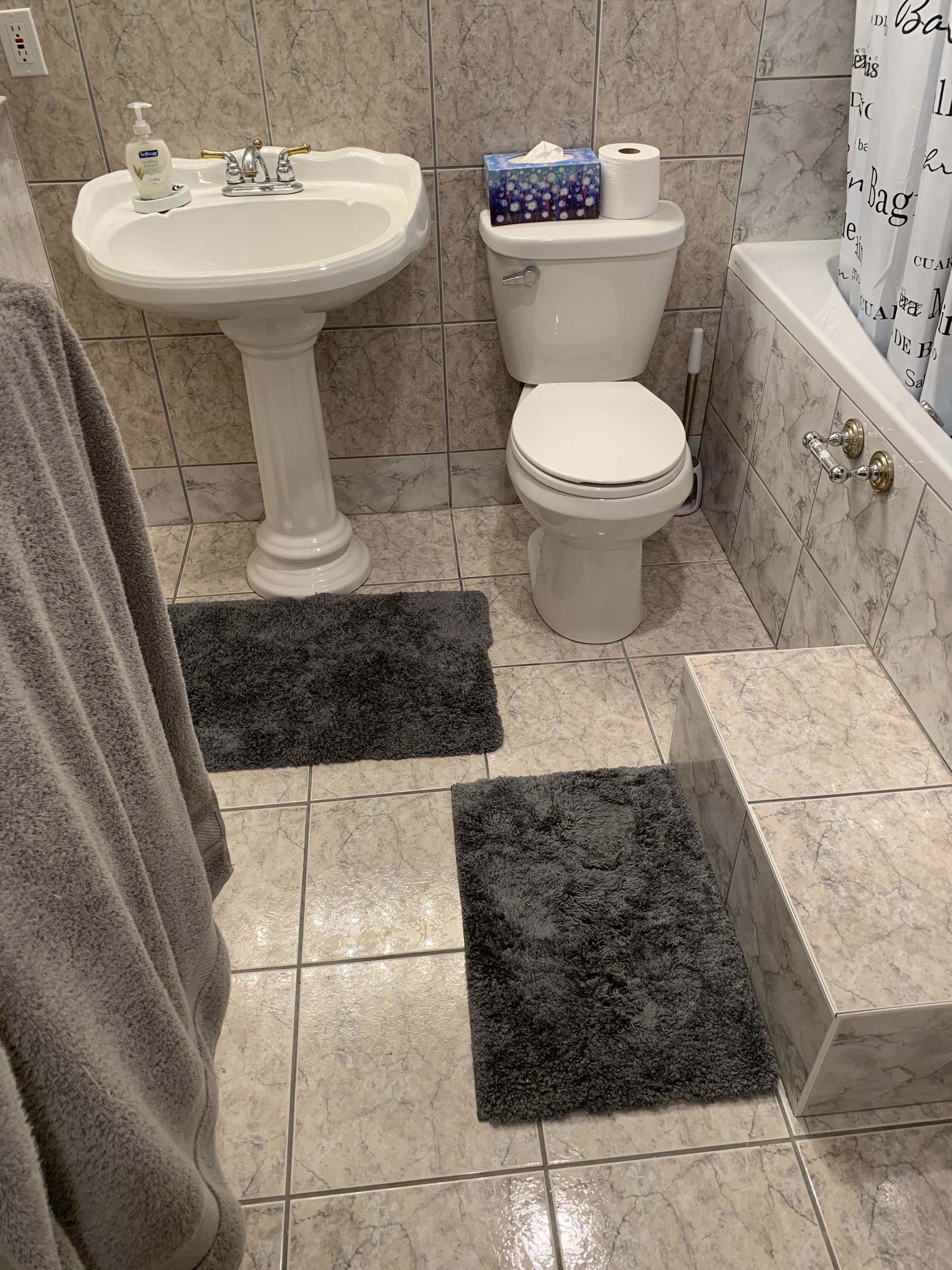 Un bagno con lavandino a piedistallo, servizi igienici e vasca da bagno. Sul pavimento, due tappeti scuri.