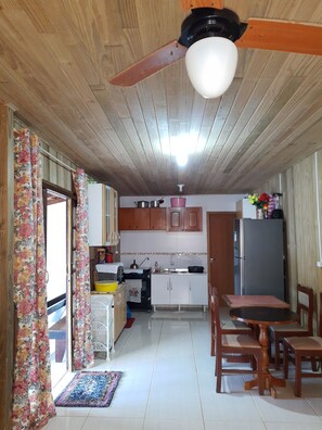 Fridge, oven, stovetop, electric kettle