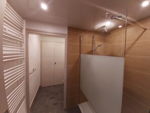 Shower, hair dryer, toilet paper