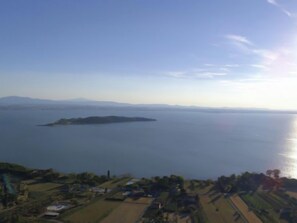 Aerial view - Oleandra sul Lago by Interhome (Magione)