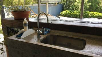 A kitchen with a sink, a potted plant, and a bottle of dish soap.