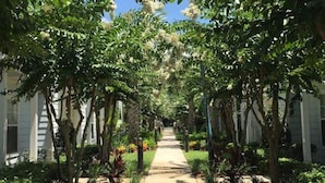 Un sendero bordeado de árboles con flores blancas, que conduce a un edificio de revestimiento blanco.