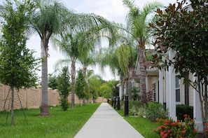 Une rue résidentielle bordée de palmiers et de maisons, avec un trottoir et des pelouses bien entretenues.