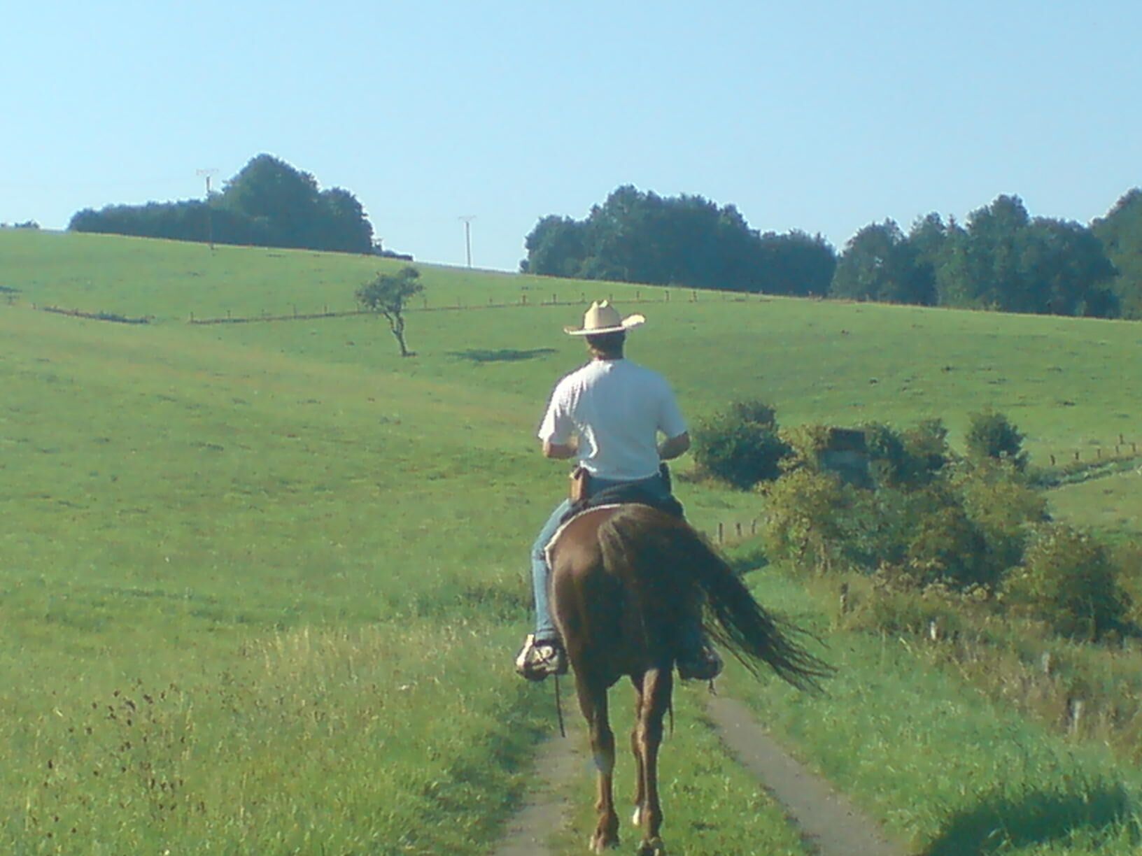 A person riding a horse on a rural path.