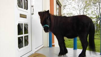 Terrein van de accommodatie