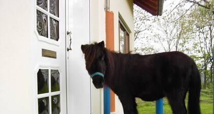 NEW Apartment Hirsch Bad Rappenau-Fürfeld directly at the (A6) Aussiedlerhof