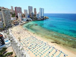 A beach with rows of sunbeds and umbrellas, a clear blue sea, and high-rise buildings in the background.