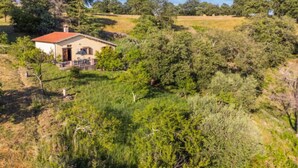 Una casa de planta baixa amb teulada vermella, envoltada de vegetació i arbres densos.