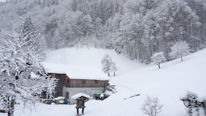 Ein mit Schnee bedecktes Holzhaus, umgeben von schneebedeckten Bäumen und einem bewaldeten Hang.