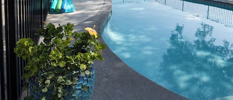 室外游泳池,恒温泳池