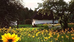 A house surrounded by a field of yellow flowers. - Otters Den Self Catering Cottages (Fort Nottingham)
