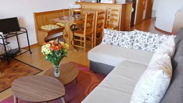 TV, fireplace, DVD player