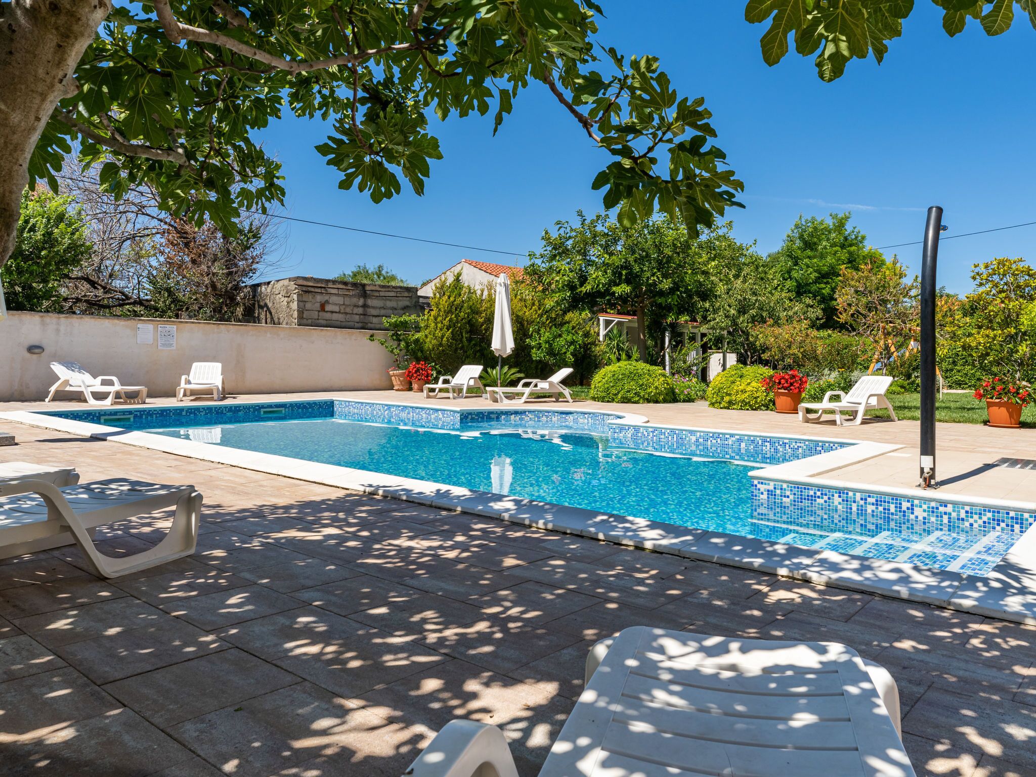 A swimming pool with tiled edges, surrounded by lounge chairs and potted plants.