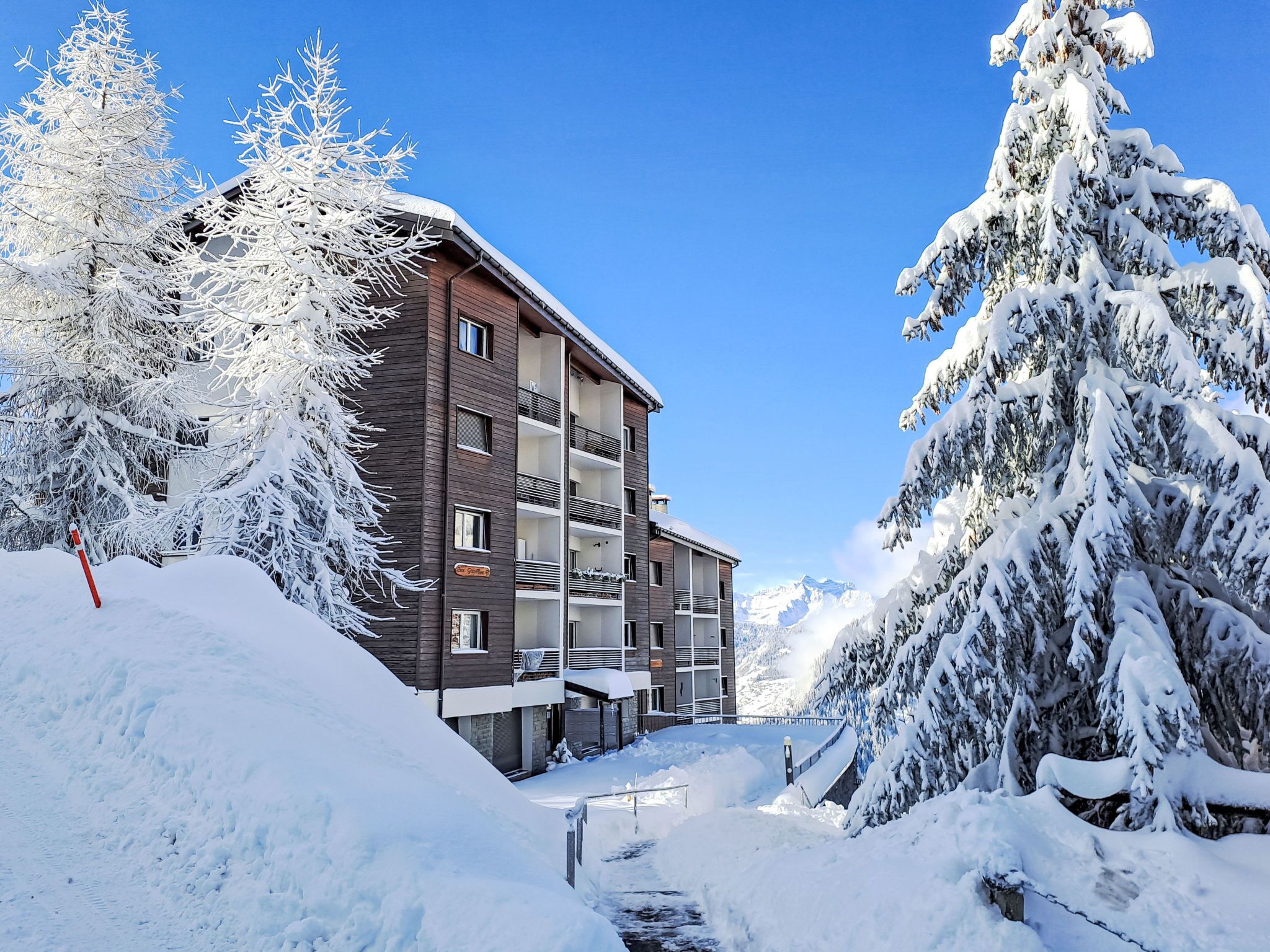 Un immeuble à plusieurs étages doté de balcons, entouré d’arbres couverts de neige et surplombant un ciel bleu clair.