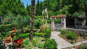 A garden with a stone pathway, a palm tree, and various plants and flowers. - Apartment Marija by Interhome (Krk/Omišalj)