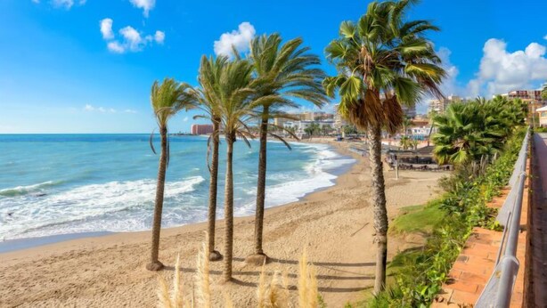 Ein Strand mit Palmen und blauem Himmel.