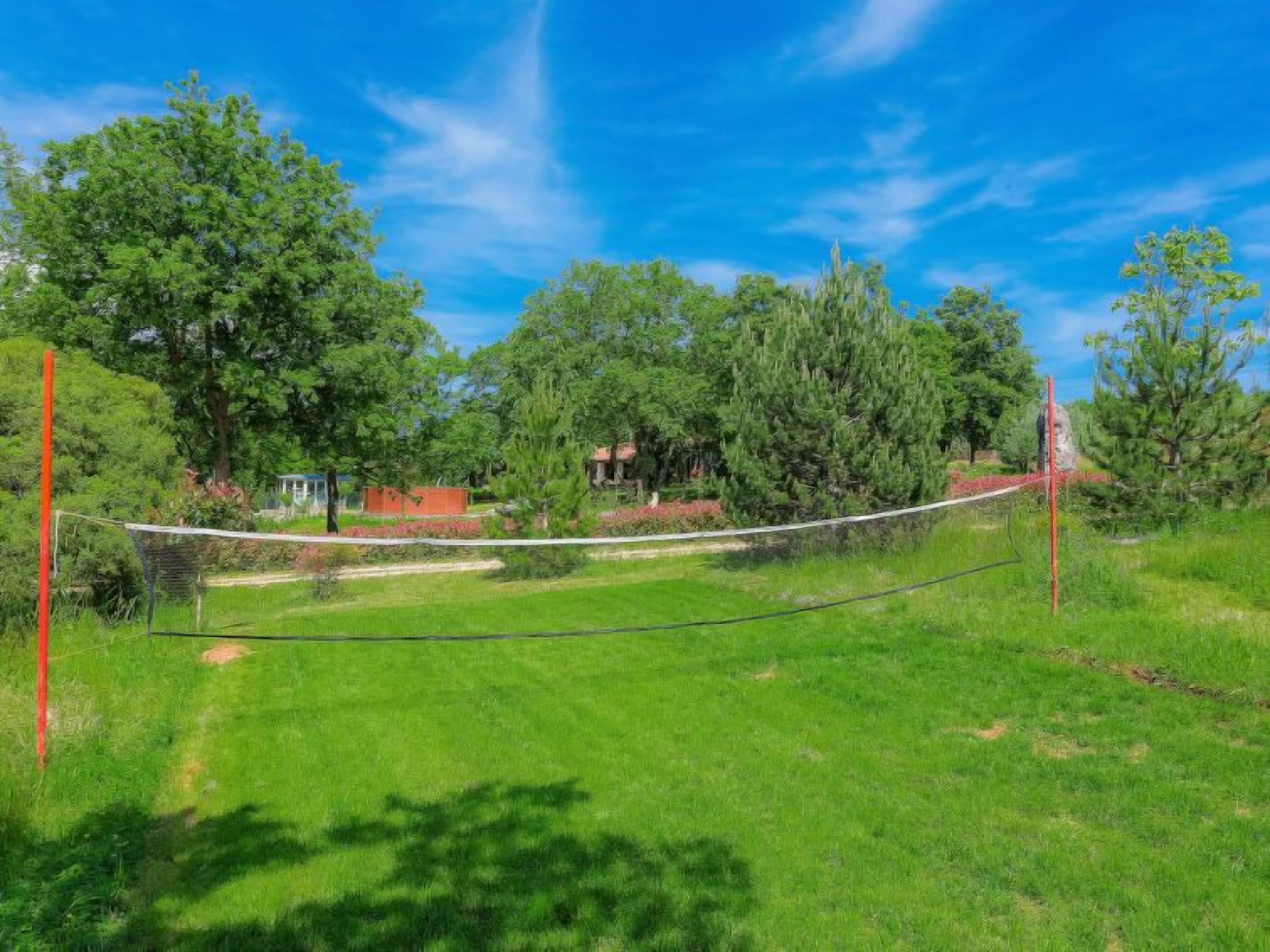 En græsplæne med et volleyballnet, omgivet af træer og en klar blå himmel.
