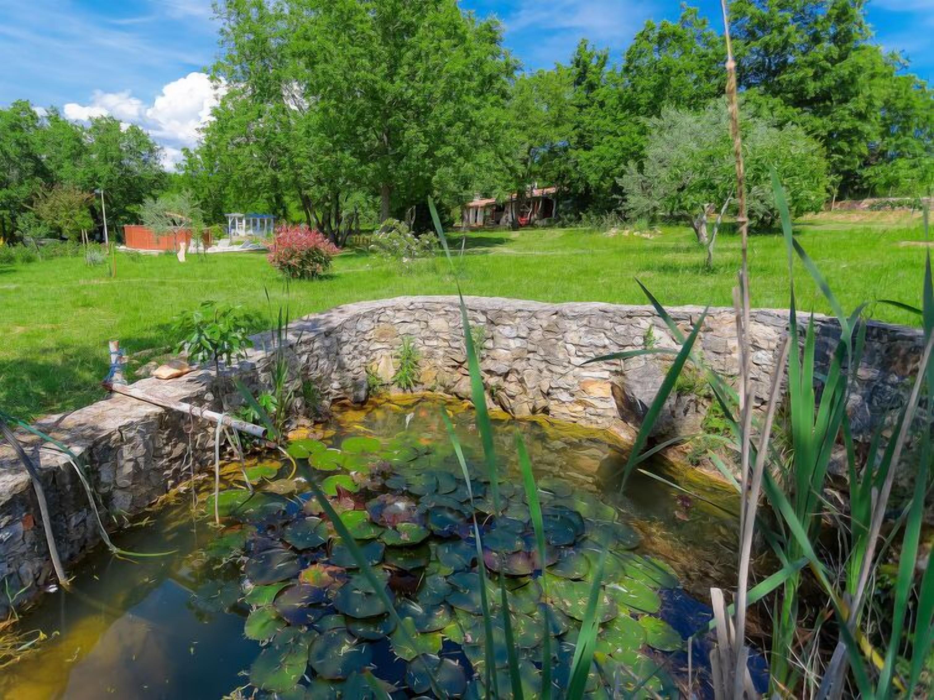 A pond with lily pads surrounded by a stone wall, with a grassy area and trees in the background.