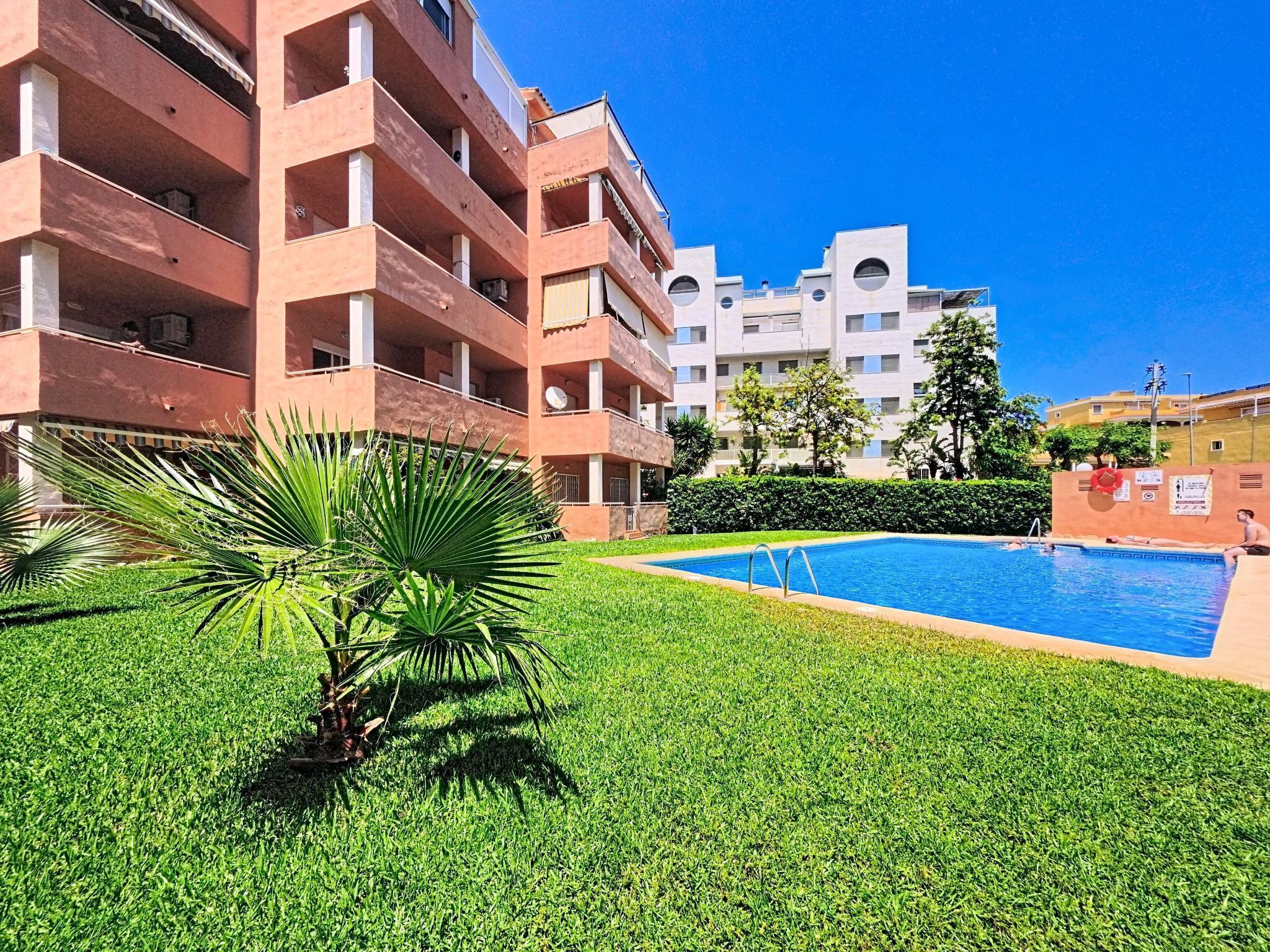 A swimming pool surrounded by well-maintained grass and palm trees, with multi-story buildings in the background.