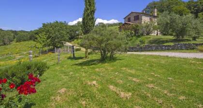 Casalini by Interhome
