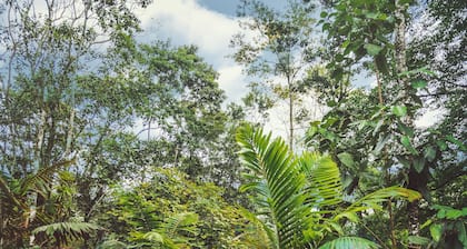 Nayara Tented Camp