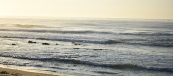 Cottage 'On the Beach'....watch the waves....from your bed!